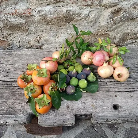 Rustic Hillside Stone-rustico In Pietra *