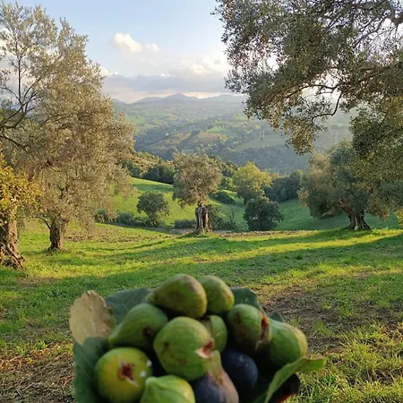 Rustic Hillside Stone-rustico In Pietra