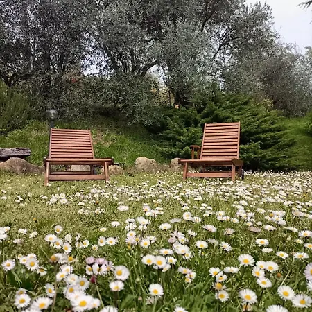 Rustic Hillside Stone-rustico In Pietra * Angeli (Ancona)