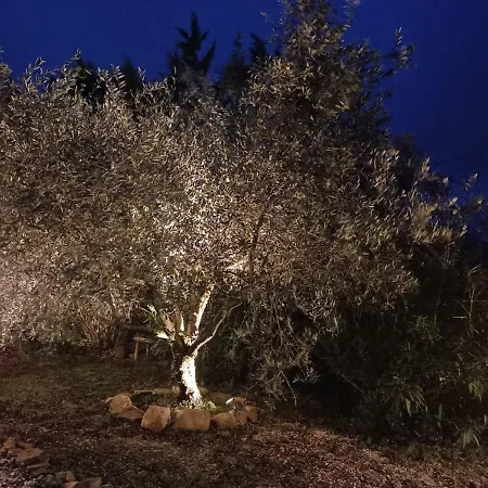 Rustic Hillside Stone-rustico In Pietra *