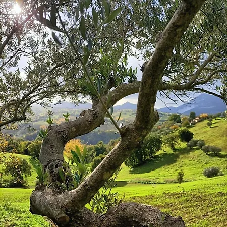Rustic Hillside Stone-rustico In Pietra *
