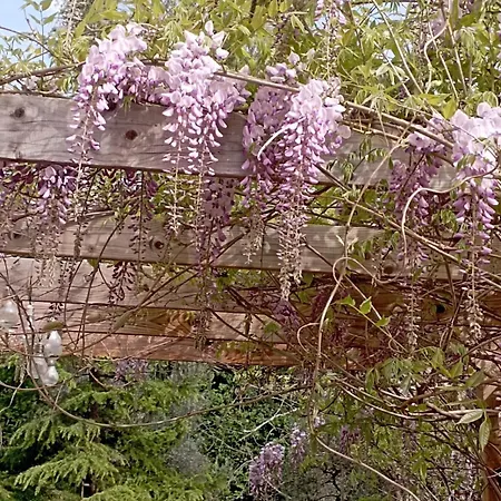 Rustic Hillside Stone-rustico In Pietra
