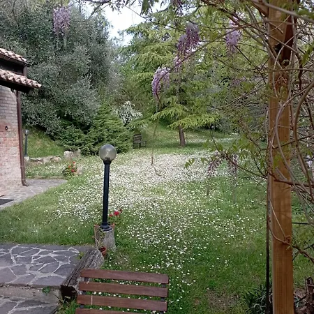 Rustic Hillside Stone-rustico In Pietra * Angeli (Ancona)