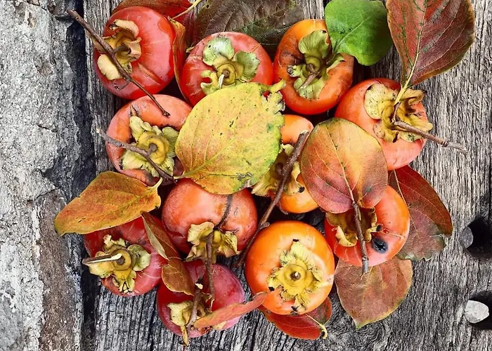 Rustic Hillside Stone-rustico In Pietra * Angeli (Ancona)