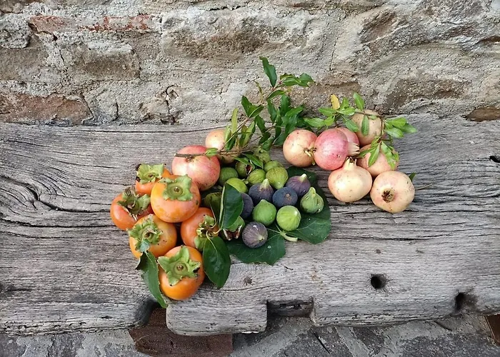 Rustic Hillside Stone-rustico In Pietra *