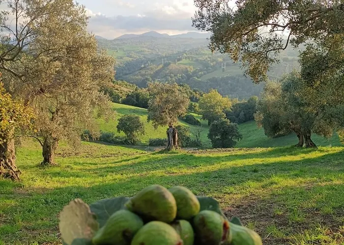 Rustic Hillside Stone-rustico In Pietra