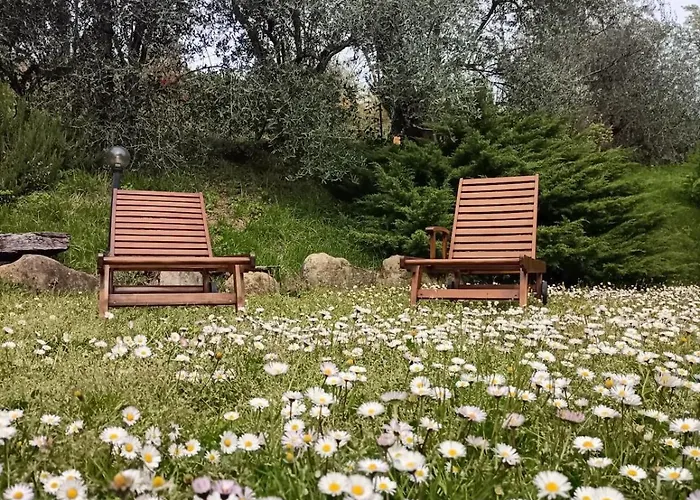 Rustic Hillside Stone-rustico In Pietra * Angeli (Ancona)