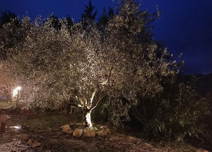 Rustic Hillside Stone-rustico In Pietra *