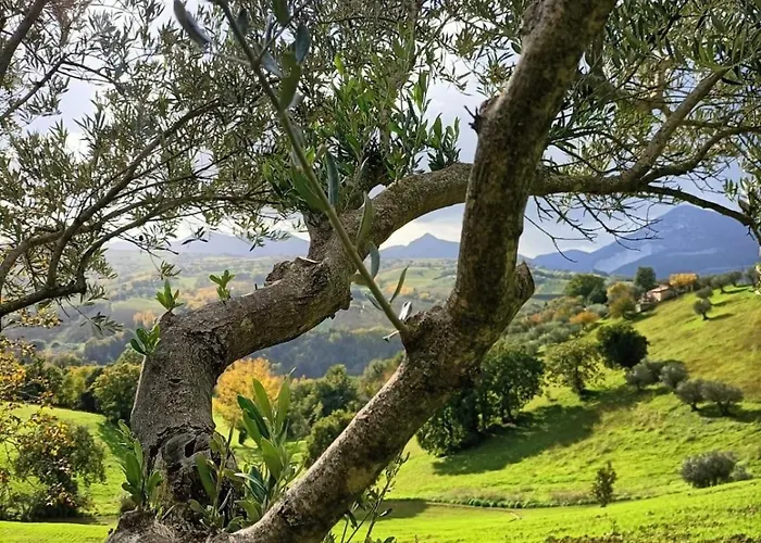 Rustic Hillside Stone-rustico In Pietra *