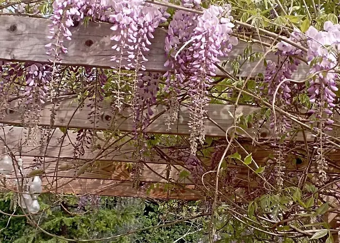 Rustic Hillside Stone-rustico In Pietra