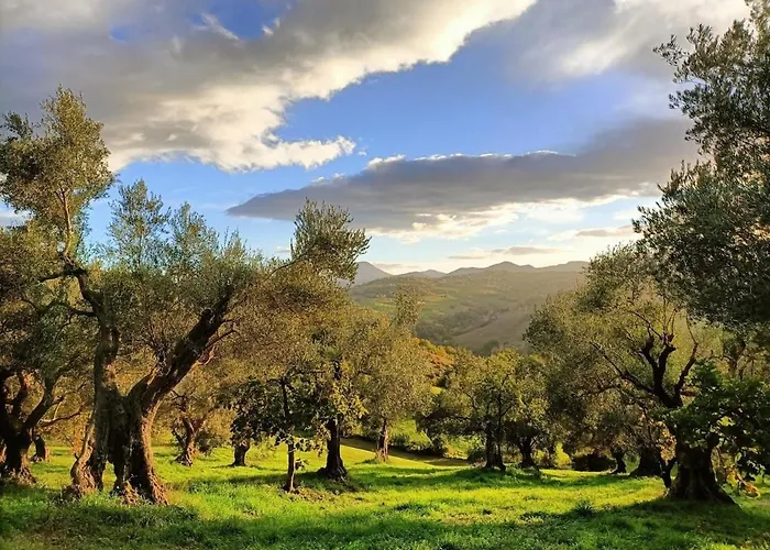 Rustic Hillside Stone-rustico In Pietra * Angeli (Ancona)